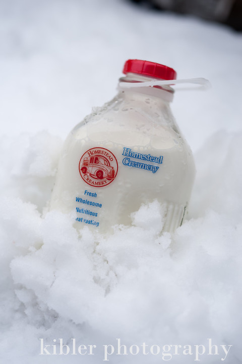 keeping homestead creamery milk cold in the snow photo