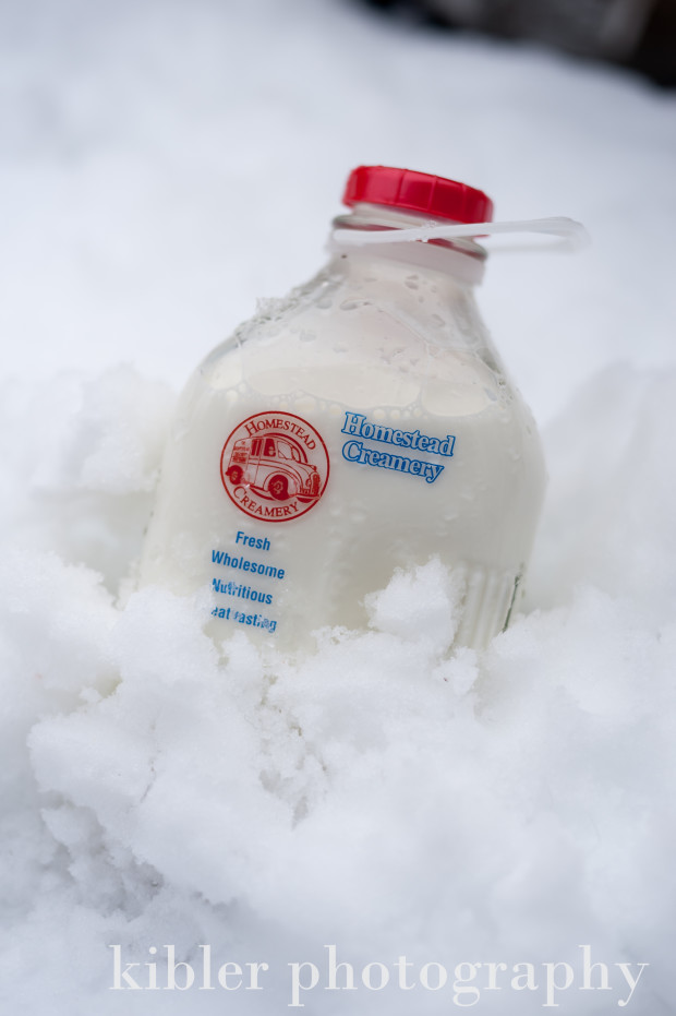keeping homestead creamery milk cold in the snow photo