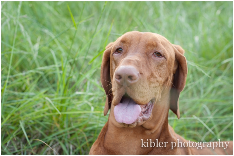 King Maternity_0016