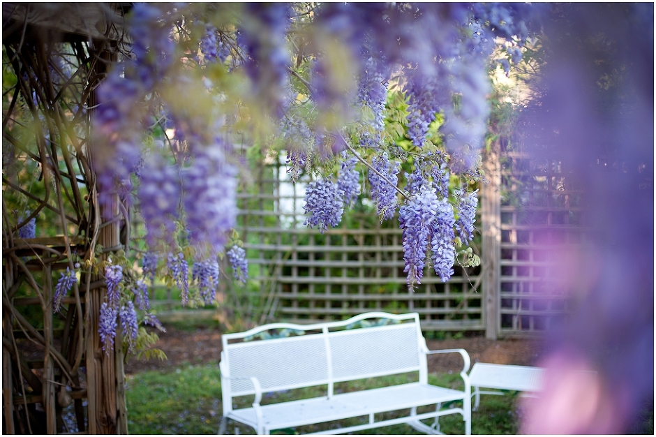 styled shoot_0015