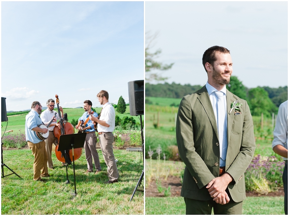 ceremony musicians at Early Mountain Vineyard Wedding -1023.jpg