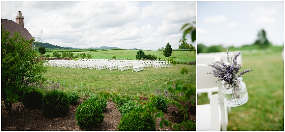 Early Mountain Vineyard Wedding-6953.jpg