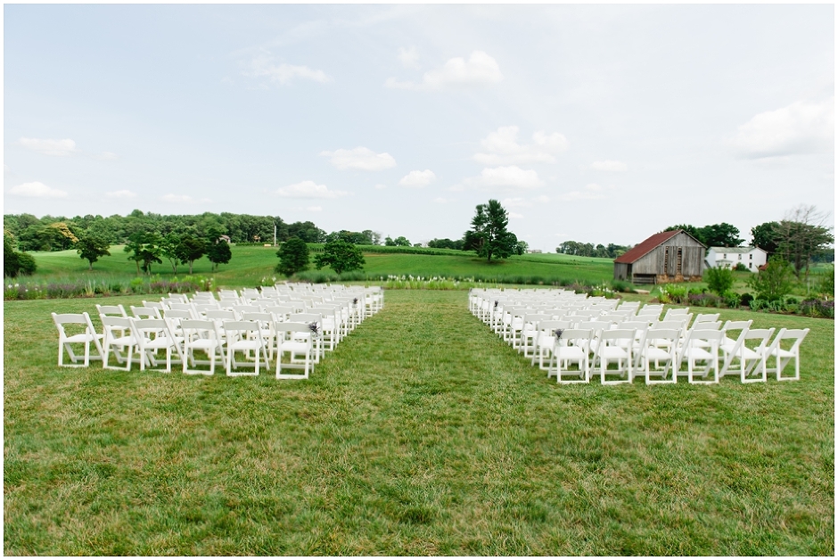 ceremony during wedding at Early Mountain Vineyard -6956.jpg