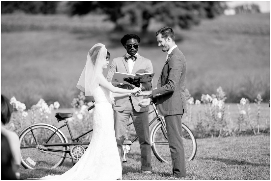 Early Mountain Vineyard Wedding-7277.jpg