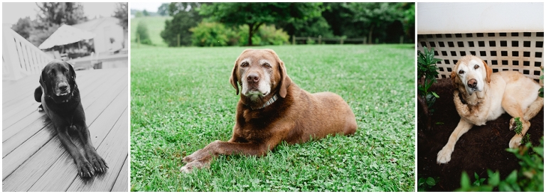 Kate and Stephen's Wedding at Castle Hill Cider-6189