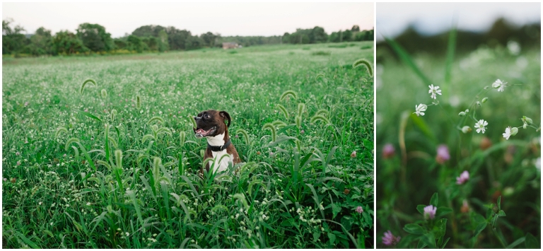 Ruckersville Engagement Photos-Dustin and Elizabeth-8704.jpg
