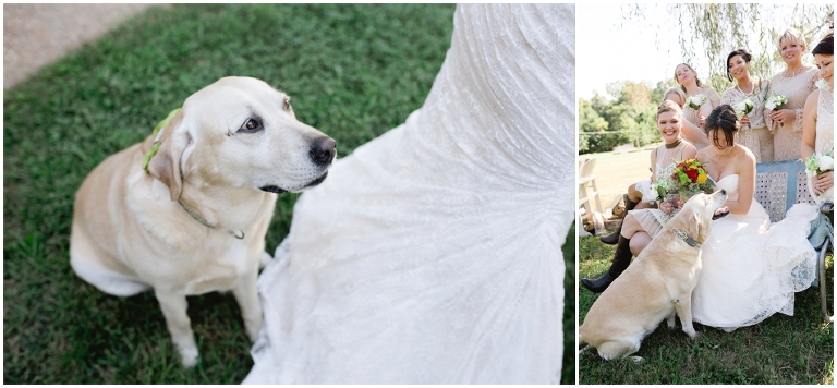 Larry and Donna's Wedding at Evermore Farm, Stanardsville VA-2739.jpg