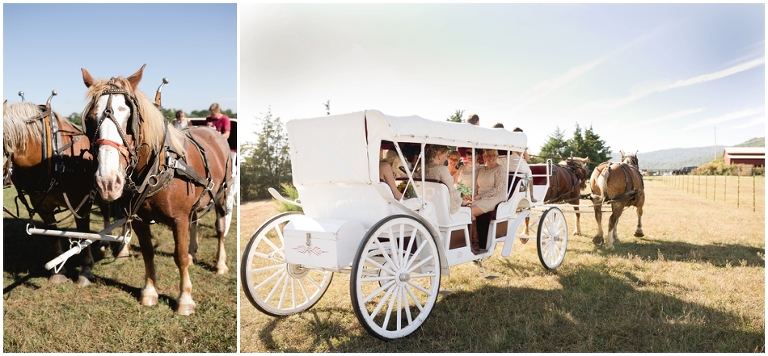 Larry and Donna's Wedding at Evermore Farm, Stanardsville VA-2900.jpg