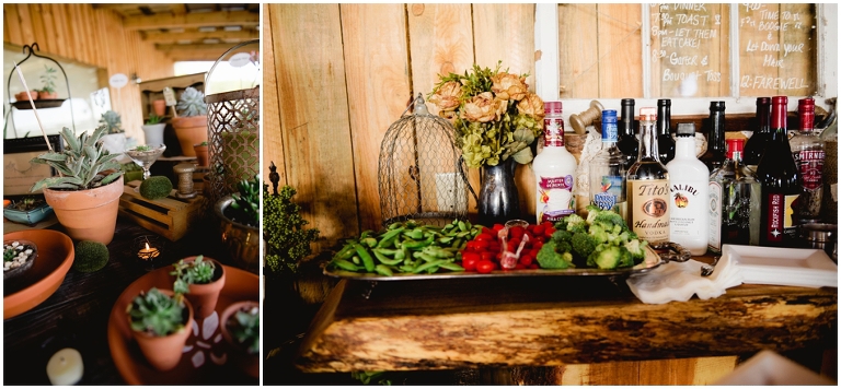 Larry and Donna's Wedding at Evermore Farm, Stanardsville VA-3316.jpg