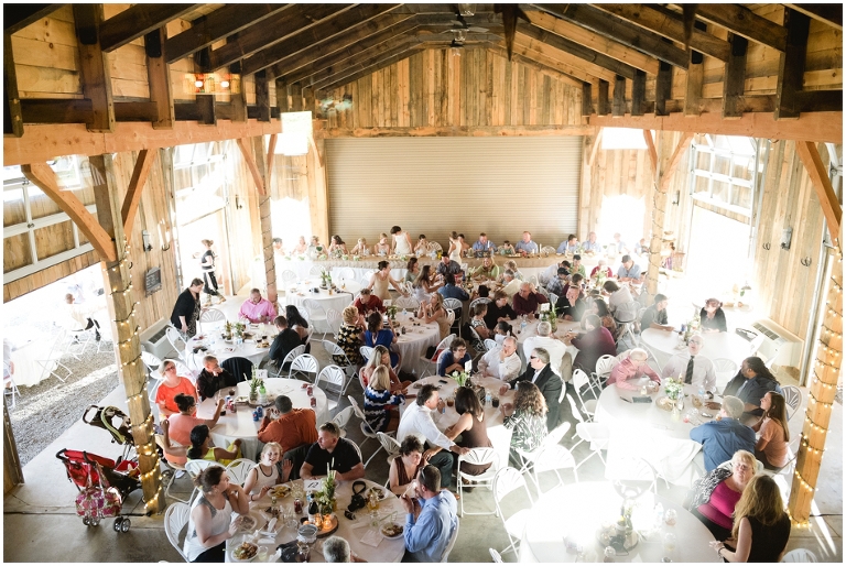 Larry and Donna's Wedding at Evermore Farm, Stanardsville VA-3407.jpg