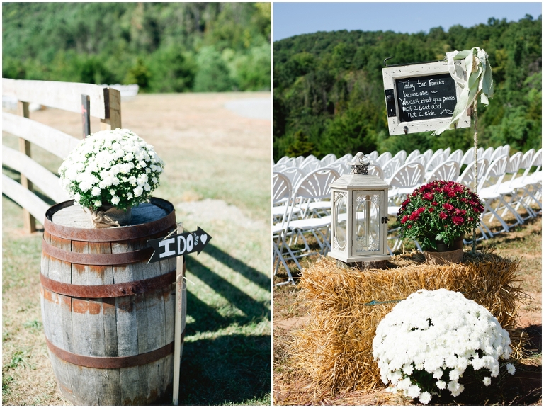 Larry and Donna's Wedding at Evermore Farm, Stanardsville VA-4498.jpg