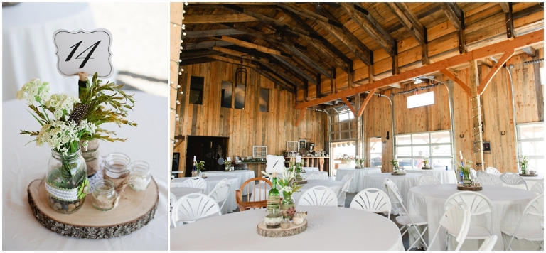 Larry and Donna's Wedding at Evermore Farm, Stanardsville VA-4563.jpg