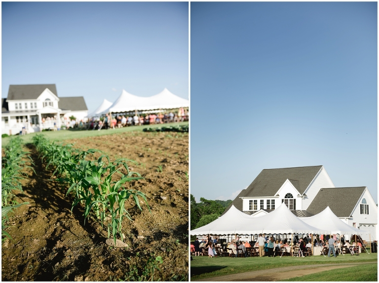 Stanardsville Wedding- Dustin and Elizabeth-5211.jpg