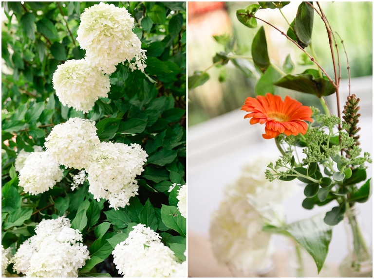 Jessie and Kevin Married in Purcellville-6436.jpg