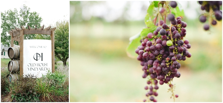 old-house-vineyards-wedding-grapevine.jpg