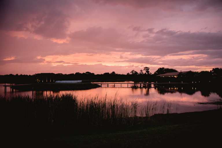 Old House Vineyards Wedding- Ali and Zach-9422