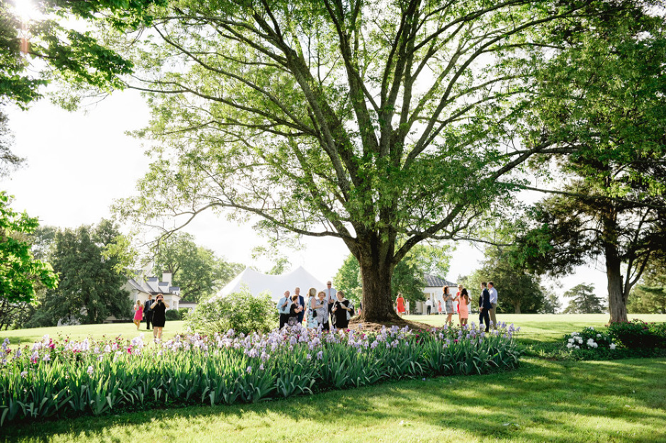 Blenheim and UVA Chapel Wedding- Becca and Declan-2031