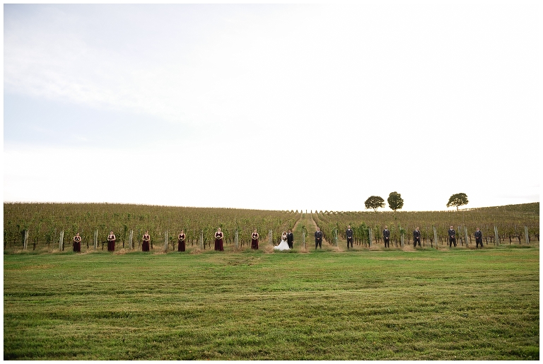 wedding party in the vines at vineyard in Charlottesville