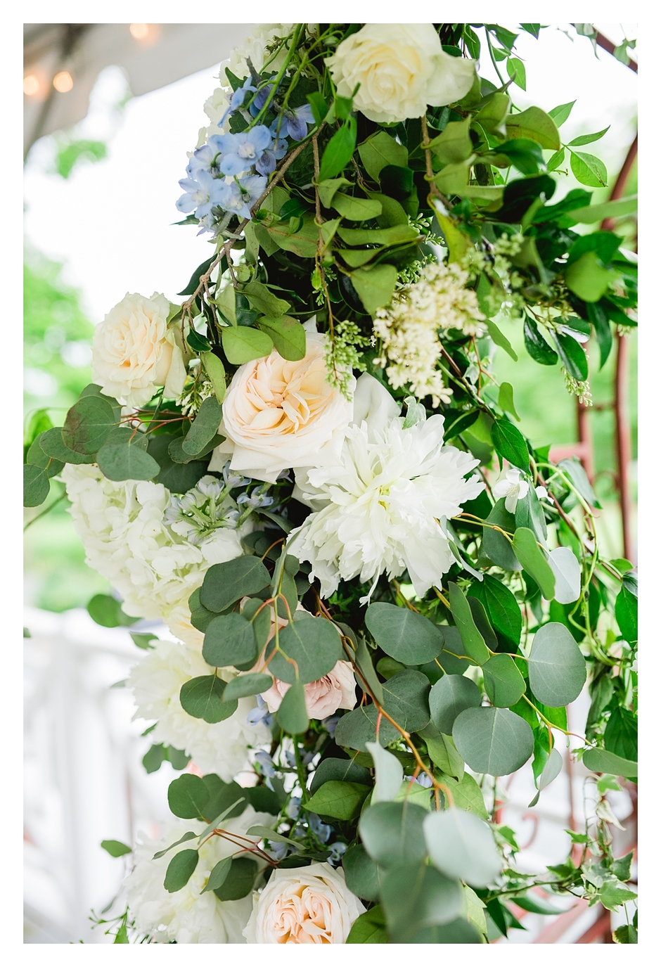 The Clifton Inn Wedding - Megan and Chris-9406.jpg
