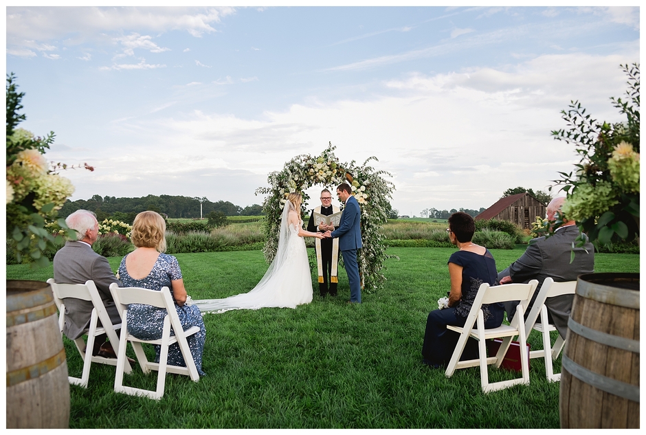 Early Mountain Vineyards Wedding - Chelsea and John-9234.jpg