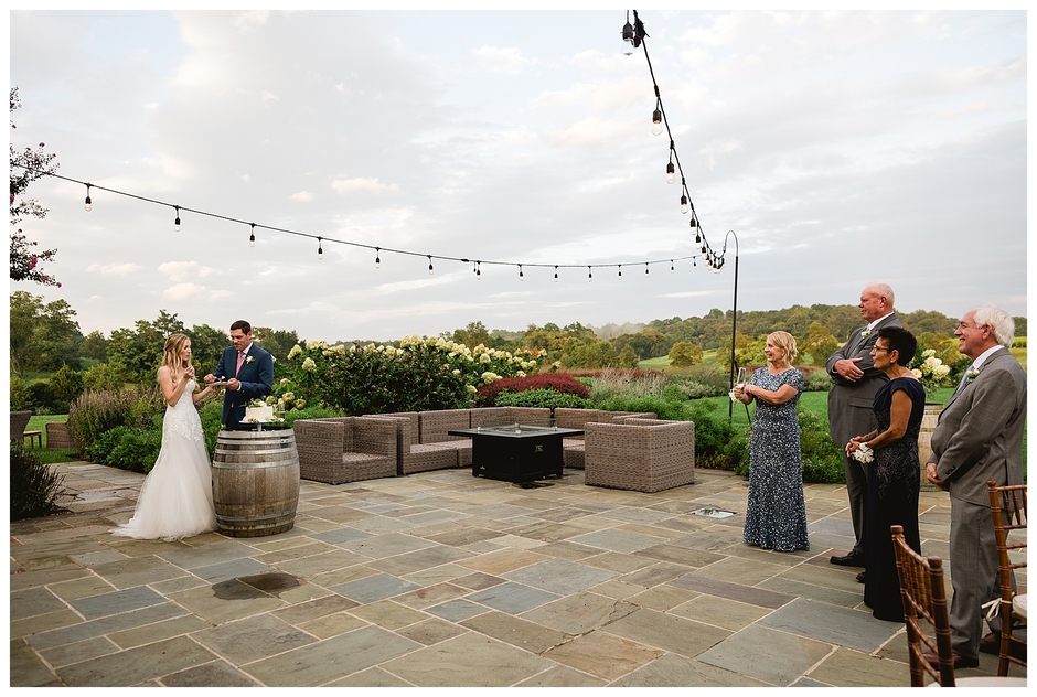 Early Mountain Vineyards Wedding - Chelsea and John-9495-2.jpg