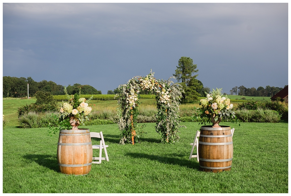 Early Mountain Vineyards Wedding - Chelsea and John-9556.jpg